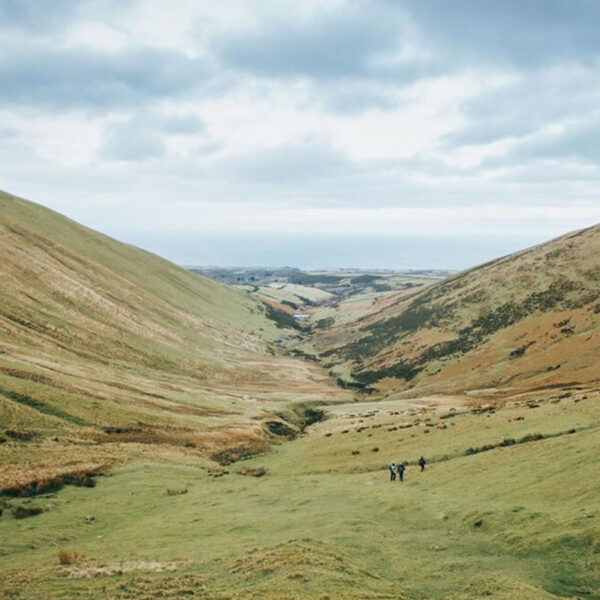 Summer Walking Series – Discover the Uplands